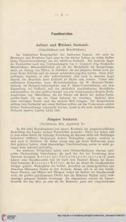 Jüngere Steinzeit