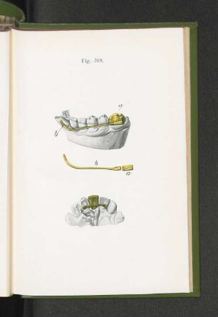Fig. 318.