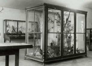 Abteilung Zoologie