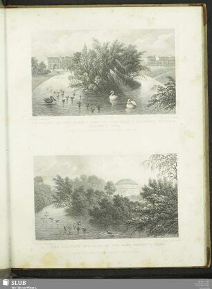 An Island On The Lake & Part Of Cornwall & Clarence Terrace