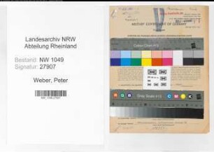 Entnazifizierung Peter Weber , geb. 22.12.1900 (Prokurist)