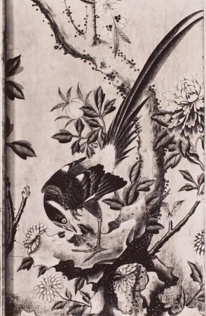Chinesische Tapeten mit Blütenzweigen und Vögeln : Schloss Weesenstein, Inneres, Niederschloss, Vogelzimmer, Detail: Vogel
