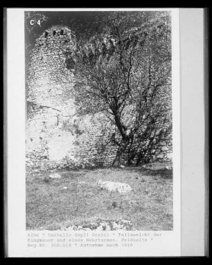 Castello degli Orsini