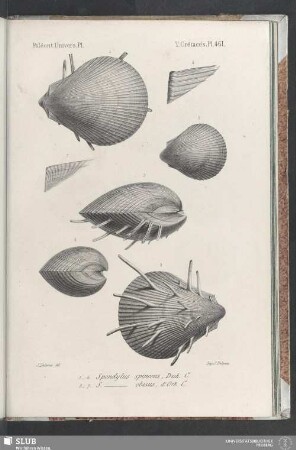 Pl. 461