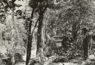 Villengarten mit Kinderschaukel und Pavillon
