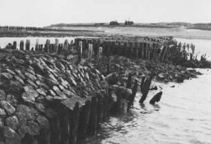 Minsener Oog/Nordsee