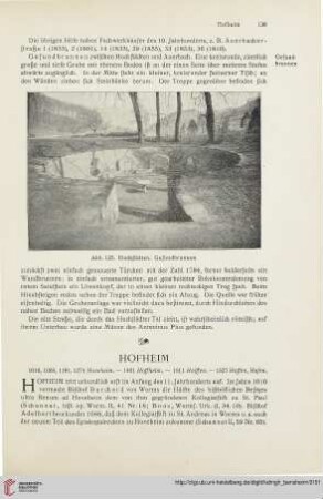 Hofheim
