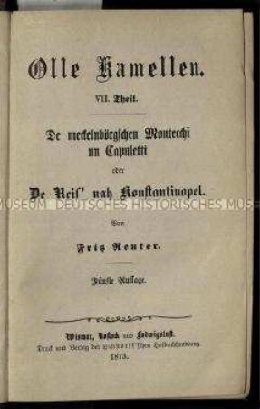 Sämtliche Werke von Fritz Reuter, Bd. 13