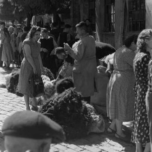 Markttreiben in der bulgarischen Hauptstadt Sofia