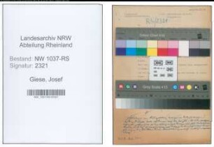 Entnazifizierung Josef Giese , geb. 00.00.0000 (Landgerichtsdirektor)
