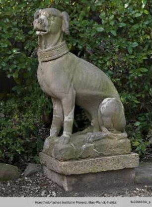 Zwei sitzende Hunde