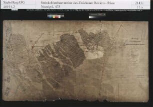 Schichtenkohlenflöz (II. Flöz)