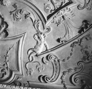 Stuckdecke mit Tritonen-Kindern : Neustadt-Glewe, Neues Schloss. Stuckdecke mit Tritonen-Kindern