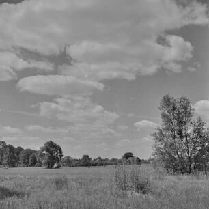 Landschaftsbild. Wälder und Wiesen um Burg-Kauper. : Wobraz krajiny. Lěsy a łuki wokoło Kupaŕskich Bórkowow.