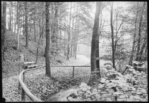 Kötzschenbroda. Promenadenweg nach Schwarzes Teich