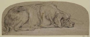 Schlafender Hund