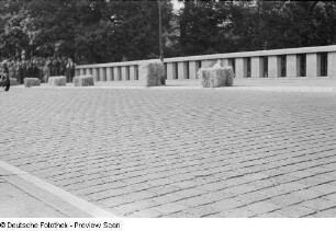 Straßenpflaster, Fahrzeug, Zuschauer