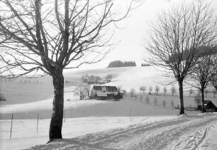Breitnau: Verschneite Straße nach dem Nessellachen
