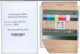 Entnazifizierung Karl Hammerschmidt , geb. 13.03.1905 (Zollinspektor)