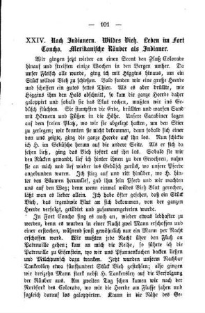 Nach Indianern. Wildes Vieh. Leben im Fort Concho. Mexikanische Räuber als Indianer