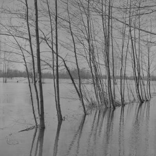 Landschaftsbild. Frühling im Spreewald. Leiper Weg. Die Wiesen sind überschwemmt. : Wobraz krajiny. Nalěćo w Błótach. Puć w Lipjem. Łuki su přepławjene.