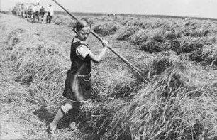 Kinder eines Kleinbauern beim Heuwenden : Kinder eines Kleinbauern beim Heuwenden