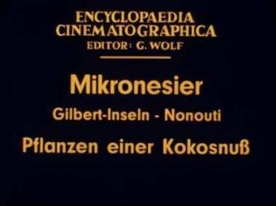 Mikronesier (Gilbert-Inseln, Nonouti) - Pflanzen einer Kokosnuß