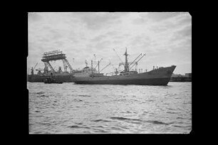 Carpathia (1957), Frachtschiff, Reederei Helmut Bastian, Haren, Bau-Nr. 1086