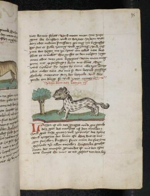 Tier "Lamya" (Teil III A: Von den Tieren, die auf der Erde gehen)