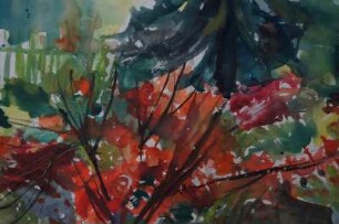 Rote Blumen vor Nadelbaum im Garten