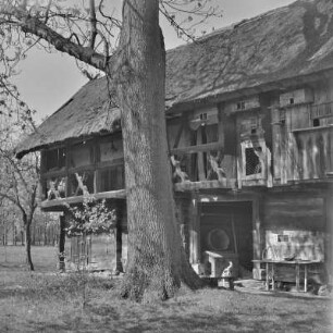 Strohgedecktes Blockhaus des Gehöftes Löwa in Burg-Kauper. : Ze słomu skryte kładźity twar Löwec statoka w Kupaŕskich Bórkowach.