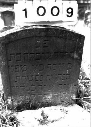 Grabstein 1009 (Index: 100099029) Maße HxBxT: 67x51x9 cm Besonderheit: Kindergrab: Grabstein 1009 (Detailaufnahme 1)