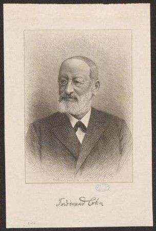Cohn, Ferdinand