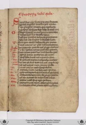 Registrum super Decretum [Gratiani] metrice