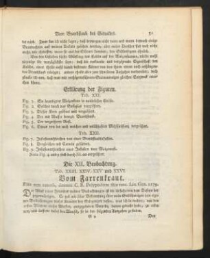 Die XII. Beobachtung. Vom Farrenkraut