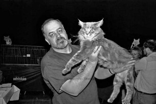 Nordby, Svein Egil: Preisrichter bewertet die Katzen im Reinbeker Sachsenwald-Forum
