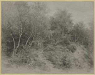 Waldweg bei Königstein-Falkenstein