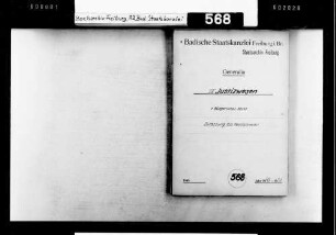 Zulassung zur Rechtsanwaltschaft, Rechtsanwaltsordnung