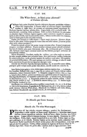 Cap. XVII. De Motacilla