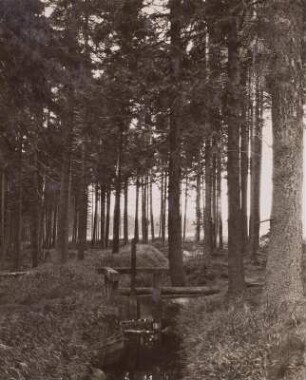 Wehr-Neugraben, Altenberg
