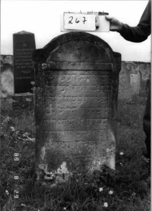 Grabstein 267 (Index: 100107641) Material: heller Sandstein Zustand: stark verwittert, teilweise Textverlust Maße HxBxT: 123x64x15 cm Beschreibung: Stele mit eingezogenem Rundbogenabschluß, Schriftfeld eingetieft: Grabstein 267