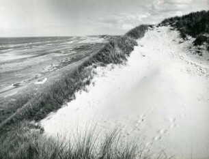 Jütland. Dünen in der Nähe von Skagen, der nördlichsten Stadt Dänemarks