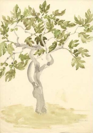 Feigenbaum
