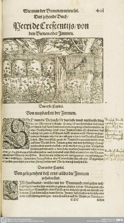 Das zehende Buch / Petri de Crescentijs / von Bienen oder Immen.