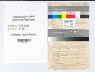 Entnazifizierung Maria-Felicia Schmitz , geb. 24.03.1903 (Lehrerin)