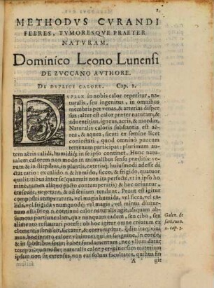 Methodus curandi febres