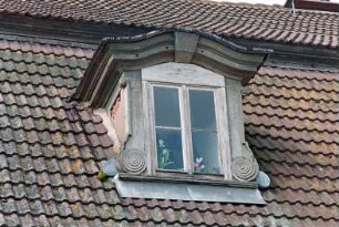 Pasewalk (Mecklenburg-Vorpommern, Kreis Vorpommern-Greifswald): Architekturdetail: barocke Dachgaube