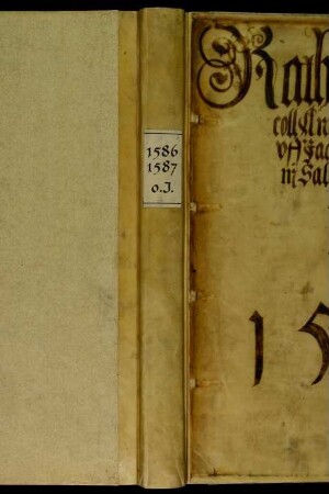 Ratsprotokolle, 1586 Aug. 9. - 1587 Aug. 3.