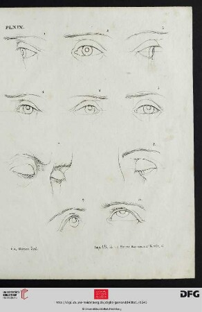 Pl. XIX [Augenstudien (Kontur; Proportionen)]