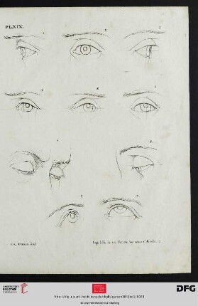 Pl. XIX [Augenstudien (Kontur; Proportionen)]